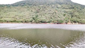 الثلوج والأمطار ترفع من منسوب السدود