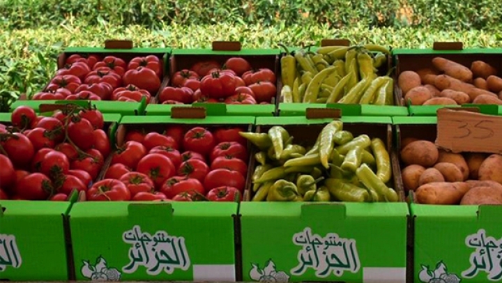 شراكة مع الاتحاد الأوروبي لترقية الجودة الفلاحية