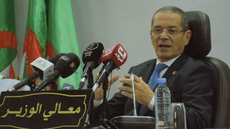 فتح مجال استيراد الأبقار الحلوب في جانفي المقبل
