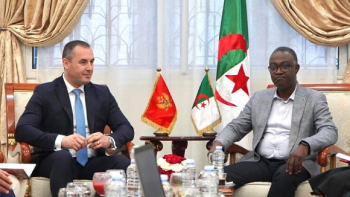 إشادة بإنجازات المجلس الأعلى للشباب