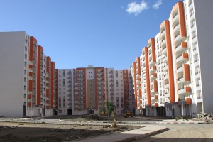 تبون: وضعنا حدا للتشكيك وألجمنا سماسرة العقار