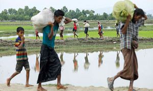 منظمة دولية تطالب بإحالة ملف ميانمار على الجنايات الدولية
