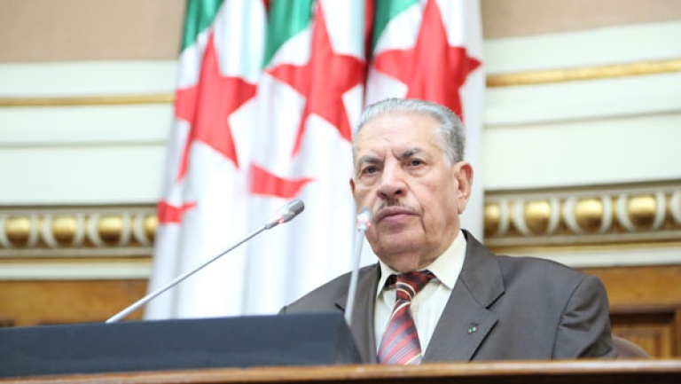 مواقف الجزائر تجاه فلسطين ثابتة وكاملة