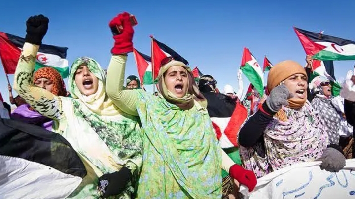 إيطاليا تجدّد تضامنها مع الشعب الصحراوي
