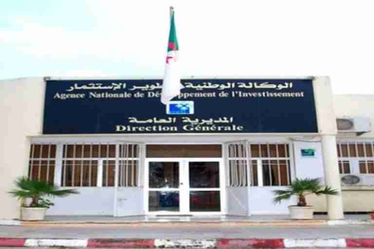 تسجيل ما يقارب 63 ألف مشروع على المستوى المحلي