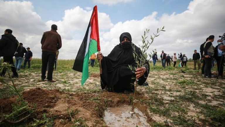 عزيمة فلسطينية على مواجهة المشروع الاستيطاني التهويدي