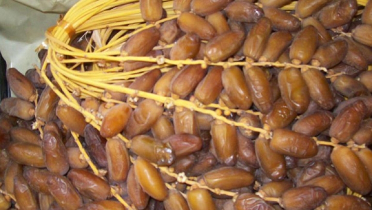 بالأرقام.. ارتفاع الإنتاج الوطني للتمور