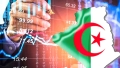 من وسم انتماء إلى علامة فخر وثقة