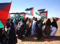 مجلس الأمة يشارك في ندوة التضامن مع الشعب الصحراوي 