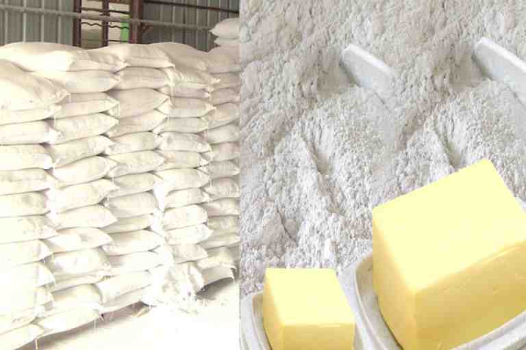 المارغرين والفرينة والجبس ومواد أخرى تدخل إفريقيا