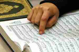 إقبال كبير على التربصات القرآنية
