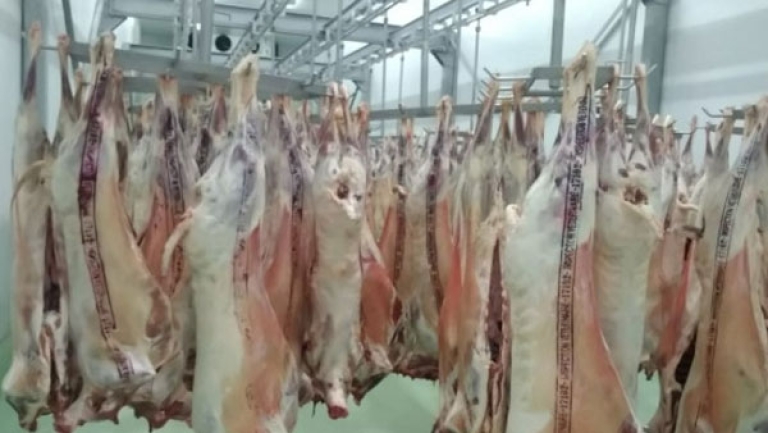 بيع مباشر للمواطنين في دواوين اللحوم والخضر والحليب والحبوب