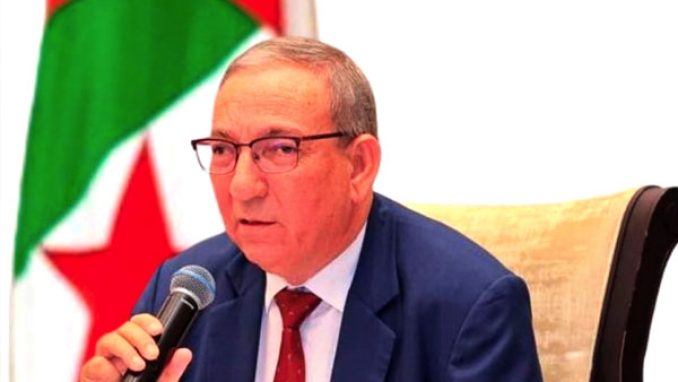 التأليف المعجمي الموجه للمتمدرسين في الجزائر لا يلبي الحاجة