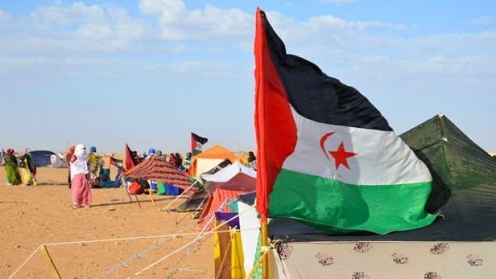 دعوة المجتمع الدولي لتخليص الشعب الصحراوي من آفة الألغام