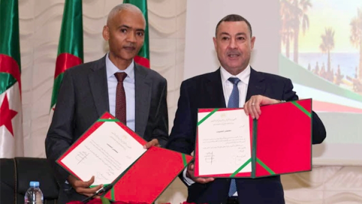 تعزيز الأداء المحلي خدمة للتنمية والمواطن