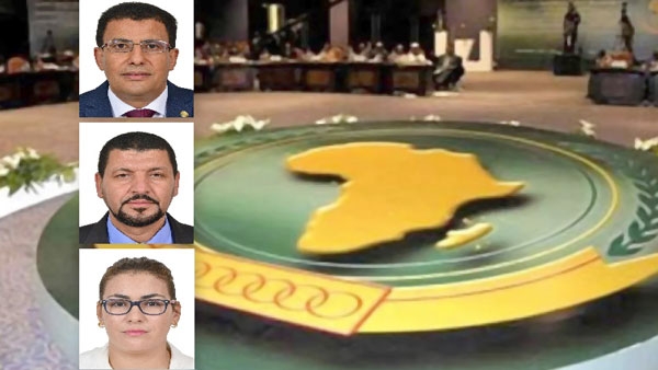 مشاركة وفد برلماني في اجتماعات لجان البرلمان الإفريقي