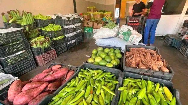 وفرة كبيرة في الخضر والفواكه رغم الحرارة المرتفعة