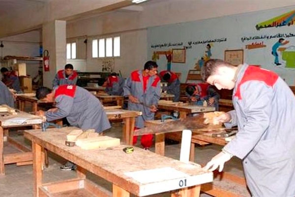 ورشات صيفية لفائدة مكوّني وموظفي ولايات الجنوب