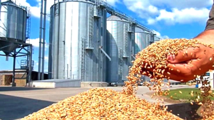 استلام كلي لبرنامج 350 مخزن للحبوب نهاية 2025