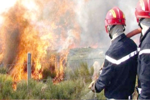 الحماية المدنية تواصل إخماد 18 حريقا