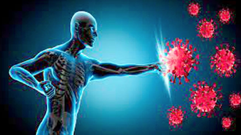 سبل تقوية الجهاز المناعي في الجسم