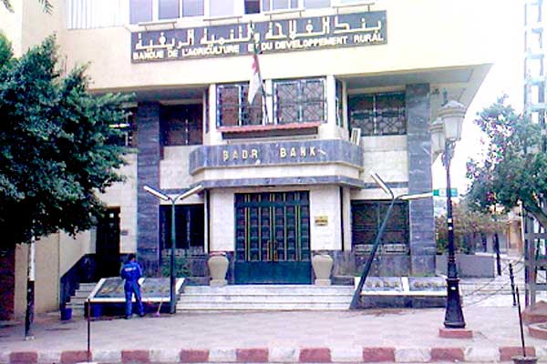 فتح شباك موحد لتسيير قرض "الرفيق"