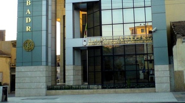 "بدر" قسنطينة يموّل 1771 ملف