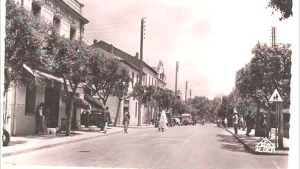 مدينة زرالدة