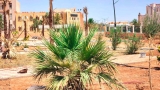 المدينة تتزين بساحة عمومية جديدة