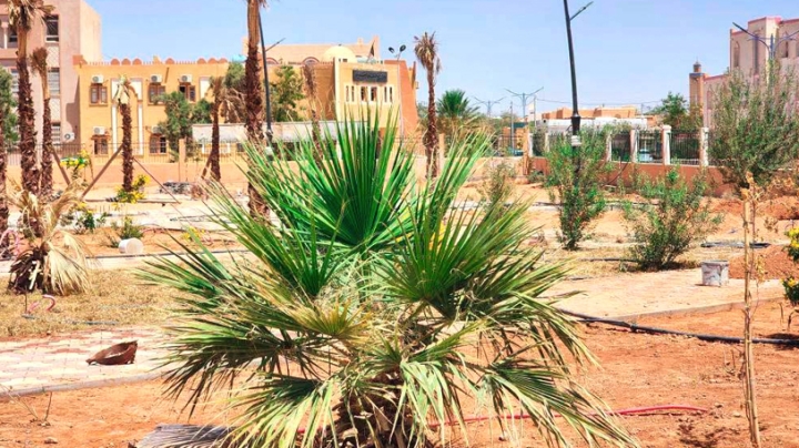 المدينة تتزين بساحة عمومية جديدة