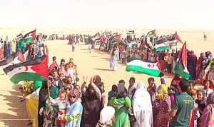 إنشاء شبكة برلمانية دولية للتضامن مع القضية الصحراوية