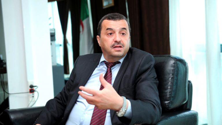 نحو إنتاج 12 معدنا خلال وقت وجيز