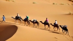 موعد للتنافس واستعراض القدرات المحلية لاستقطاب السياح
