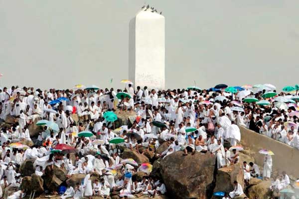 سيارات إسعاف لتمكين الحجاج الجرحى من الوقوف بعرفة