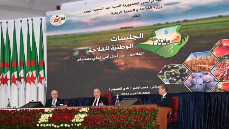 الاكتفاء الذاتي على بُعد خطوات