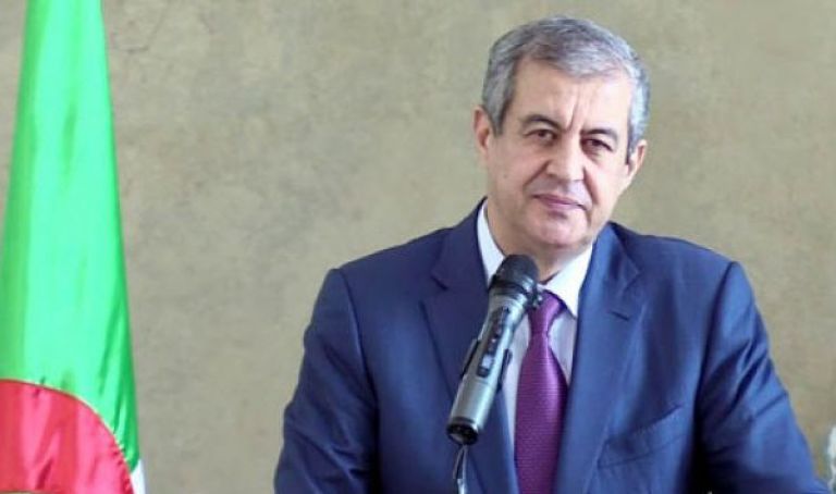رابحي: التساوي في الفرص والاعتراف بالتنوع الثقافي مكفول