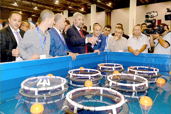 إنشاء شركة لتسيير الموانئ وفتح صيد المرجان قبل نهاية السنة