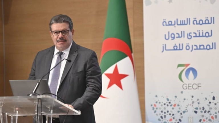 الجزائر حشدت الموارد الضرورية لإنجاح قمّة الغاز