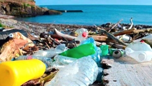 دراسة توصيف النفايات البحرية بميناء وهران