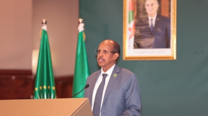 الجزائر ركيزة أساسية في الدبلوماسية الإفريقية