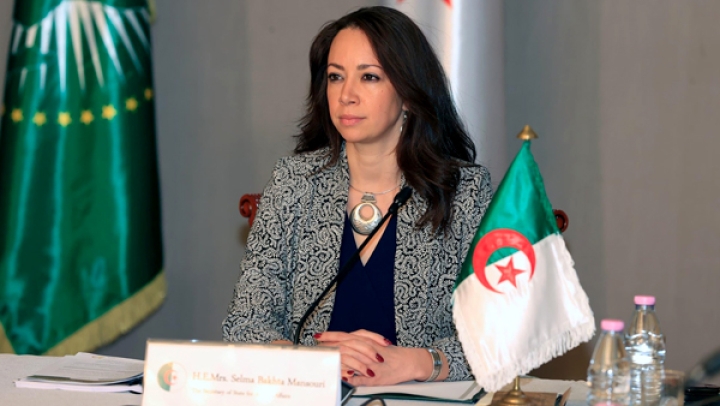 الجزائر ملتزمة بالدّفاع عن حقّ إفريقيا في التمثيل الدّائم بمجلس الأمن