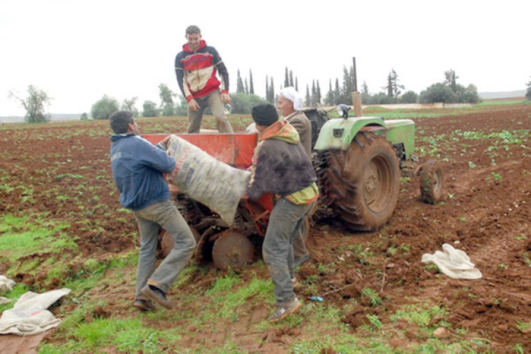 عنابة تشرع في توزيعها : بطاقة مهنية مغناطيسية للفلاحين