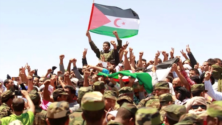 اللجنة الرابعة الأممية تصفع المغرب