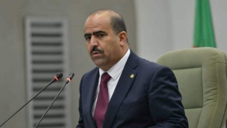 الجزائر تملك مؤسسات منسجمة.. والشعب متمسّك بسيادته