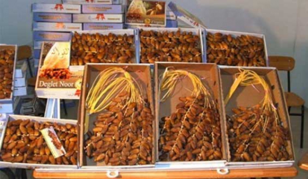 انطلاق أول عيد للتمور بأدرار