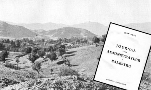 حقائق من أرض المعركة