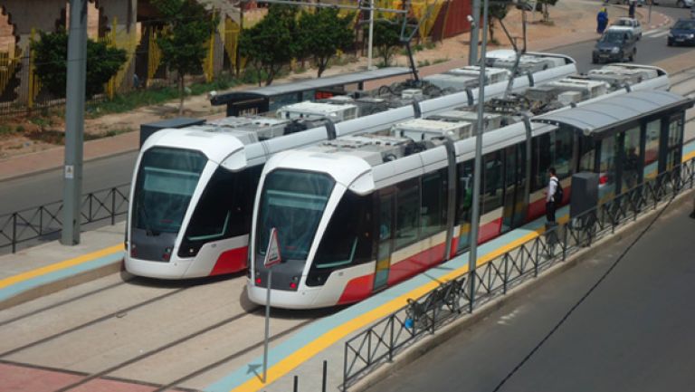 خرجات ميدانية تفتيشية بقطاع النقل