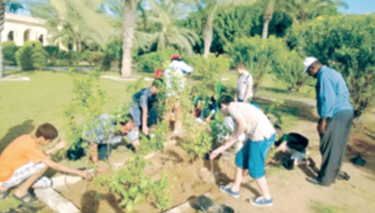 حملة كبرى للتشجير والتنظيف