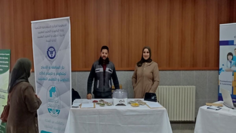 29 مشروعا مبتكرا في البيئة والطاقات المتجددة