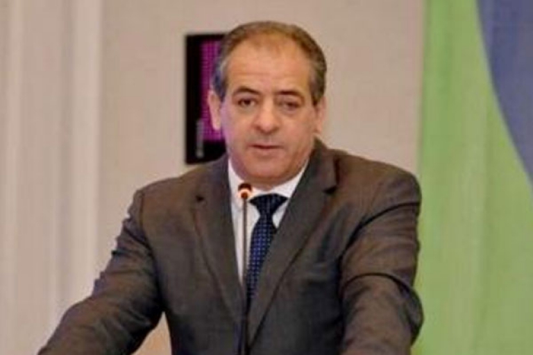 الجزائر لديها كل الإمكانيات التي تخولها لاحتضان البطولة العالمية لكرة اليد